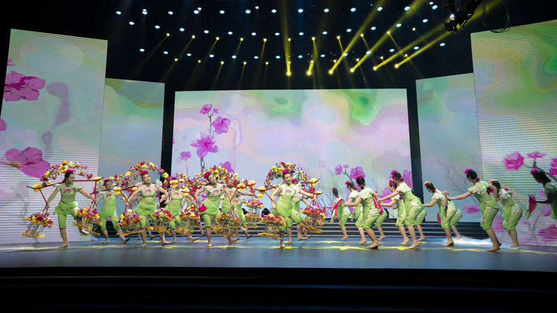 公司学子参演2019信阳春晚